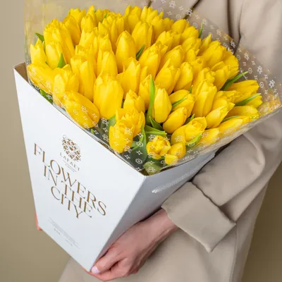 Фото с Днем Рождения Желтые Тюльпаны - скачать бесплатно в формате PNG