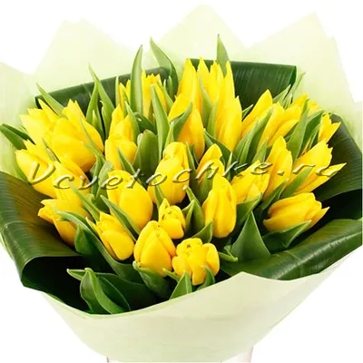 Картинки с Днем Рождения Желтые Тюльпаны - выберите формат для скачивания