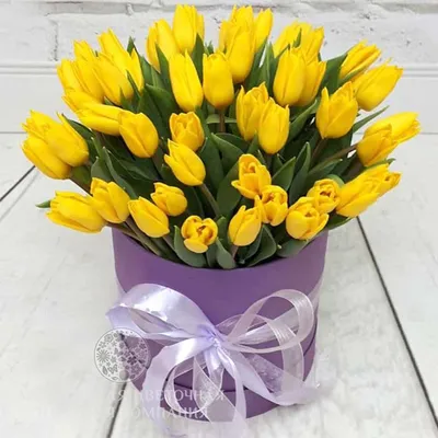 Фото с Днем Рождения Желтые Тюльпаны - красивые изображения в 4K разрешении