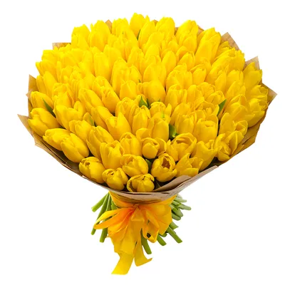 Картинки с Днем Рождения Желтые Тюльпаны - скачать в формате JPG