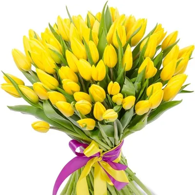 Фото с Днем Рождения Желтые Тюльпаны - новые фотографии в HD качестве