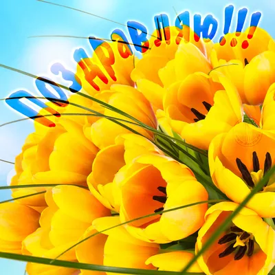 Фото с Днем Рождения Желтые Тюльпаны - новые фотографии для поздравлений