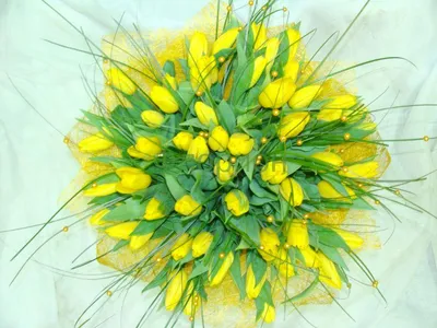 Уникальные фото с Днем Рождения и желтыми тюльпанами