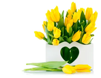 Желтые тюльпаны на фотографиях: символ счастья и радости