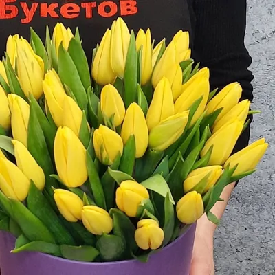 Фотографии с Днем Рождения и великолепными желтыми тюльпанами