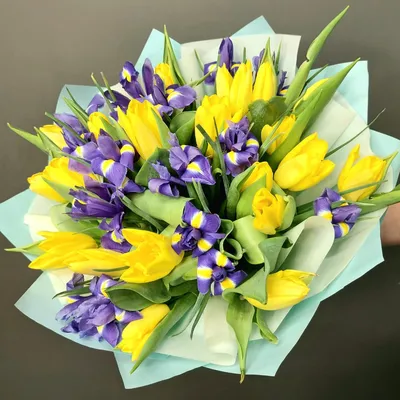 Желтые тюльпаны на фото: цветы радости и улыбок