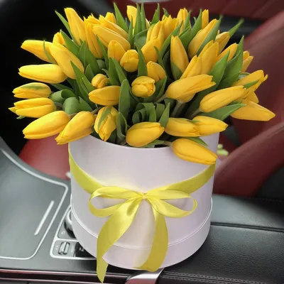 Фото с Днем Рождения Желтые Тюльпаны - красивые изображения в Full HD