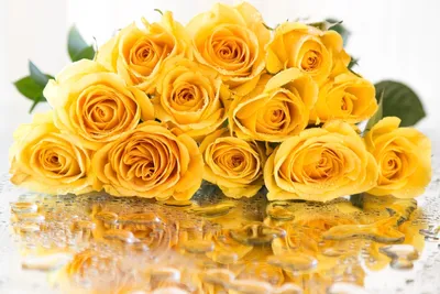 Фото с Днем Рождения и яркими желтыми тюльпанами: праздник в каждом кадре