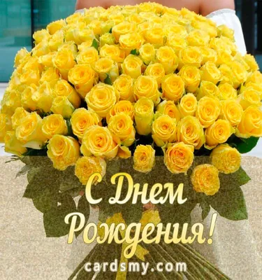 Желтые тюльпаны на фото: красота и элегантность