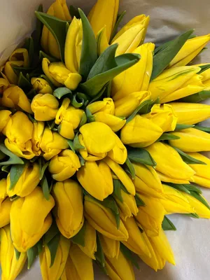 Фото с Днем Рождения и яркими желтыми тюльпанами: воплощение радости