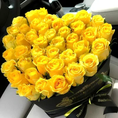 Желтые тюльпаны на фотографиях: символ солнечного настроения