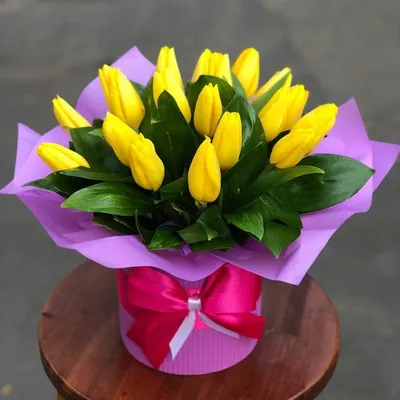 Желтые тюльпаны на фото: цветы, наполненные светом и радостью