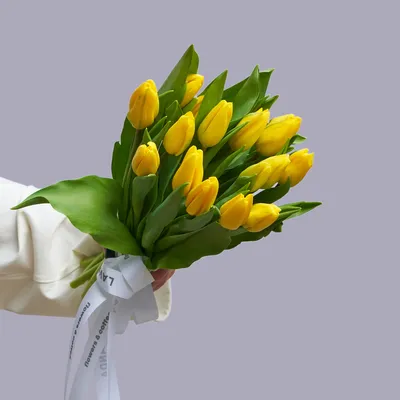 Фотография С Днем Рождения Желтые Тюльпаны 4K бесплатно