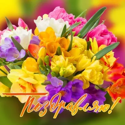 Фото С Днем Рождения Желтые Тюльпаны в формате jpg