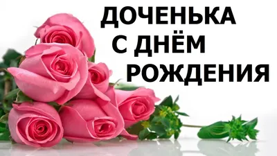 Уникальные снимки для поздравления Дашули с Днем Рождения!