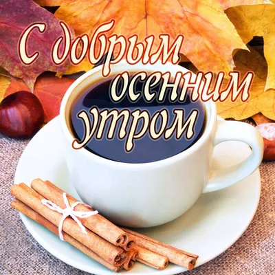 Картинки с добрым осенним утром и хорошего дня - скачать бесплатно в хорошем качестве