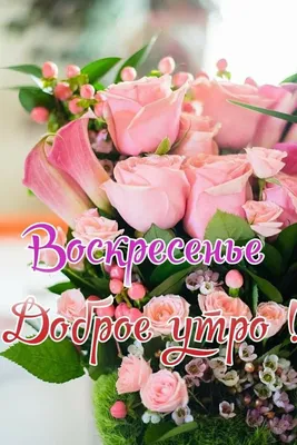 Новые изображения утреннего пейзажа для вашего утра