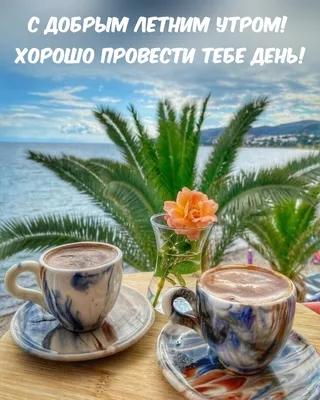 Утренняя природа летом в формате WebP для скачивания