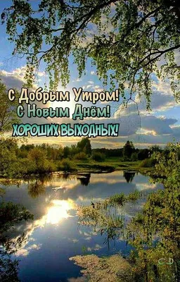 Утренняя природа летом в HD качестве