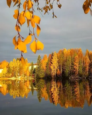 Фото с добрым утром природа лето - утренняя красота (утренняя красота)