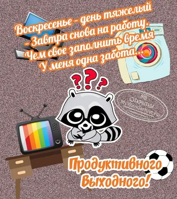 Смешные картинки для радостного утра!