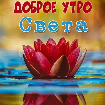 Новые утренние фото для свежего старта