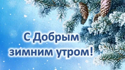 Фото с добрым зимним утром - полезная информация о зимней природе