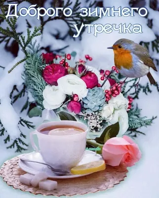 Фото с добрым зимним утром - красивые изображения для вашего настроения