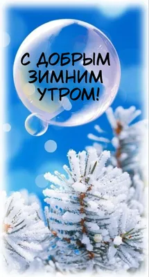 Зимнее утро во всей своей красе