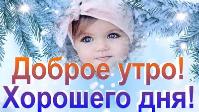 Фотографии, которые заставят вас полюбить зимнее утро