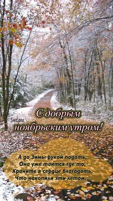 Зимние утренние сны на фотографиях