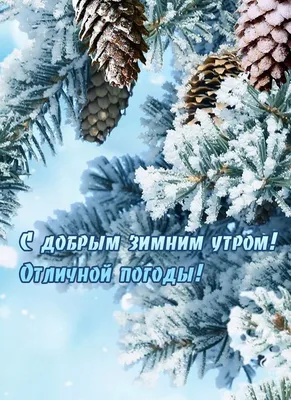 Зимнее утро: встреча с природой