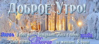 Утренние лучи солнца на зимних фотографиях
