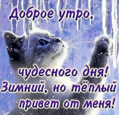 Утренние мгновения, запечатленные на фотографиях