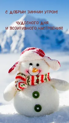 Утренние прогулки в зимнем лесу на фотографиях