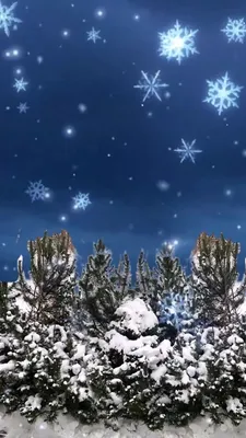 Фотография зимнего утра в Full HD