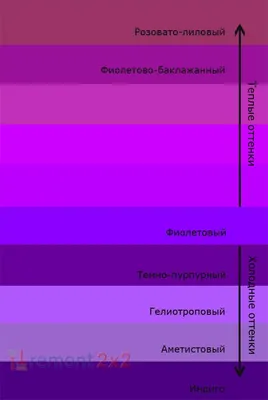 Фото с фиолетовым оттенком: скачать бесплатно в хорошем качестве