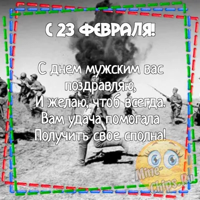 Фотографии с юмором 23 февраля: подборка настроения