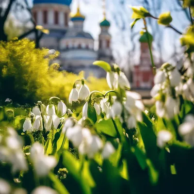 Свежие фото весны для вашего творчества