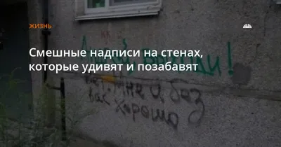 Надписи на фото: смех и радость в каждой картинке