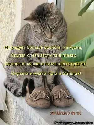 Забавные надписи на фото: веселое времяпрепровождение