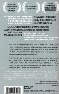 Фото с надписью Абонент временно недоступен в HD качестве в формате PNG