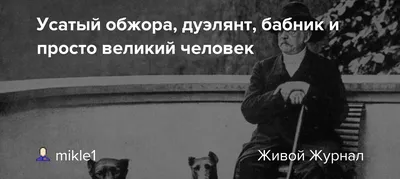 Фотографии с надписью Бабник - уникальные и веселые работы художников!