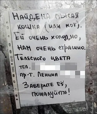 [58+] Картинки С Надписью Барахолка фото