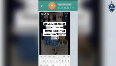 Увлекательные моменты на фотографиях с надписями