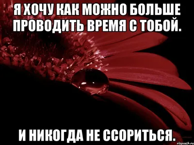 Картинки С Надписью Давай Не Будем Ссориться: визуальное обращение к гармонии