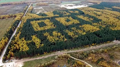 Уникальные фотографии с надписью Дорога домой