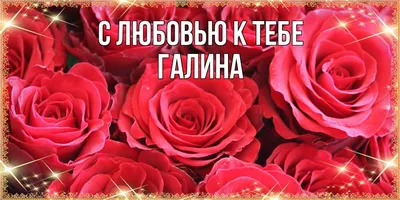 Изображения с надписью Галина для блога