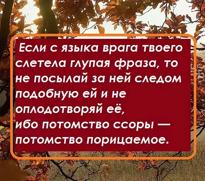 Загадочные изображения с посланиями о исламе