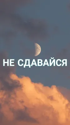 Фото с надписью Никогда не сдавайся в формате JPG, PNG, WebP